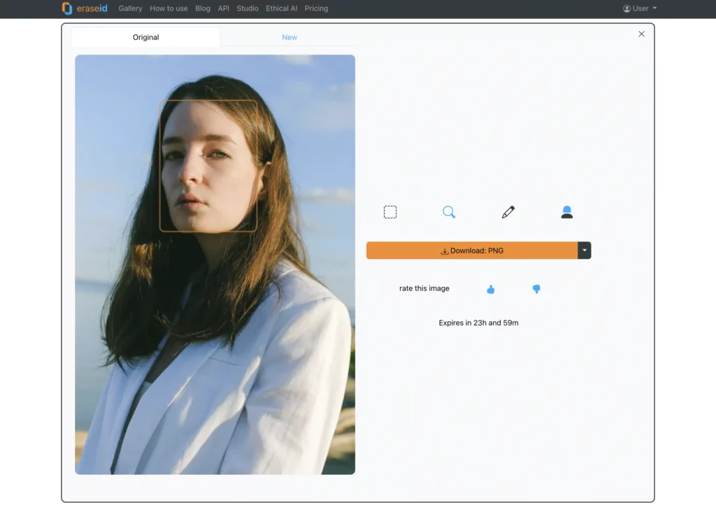 wie man ein Gesicht mit AI unter Verwendung eines Originalbildes auf EraseID ändert