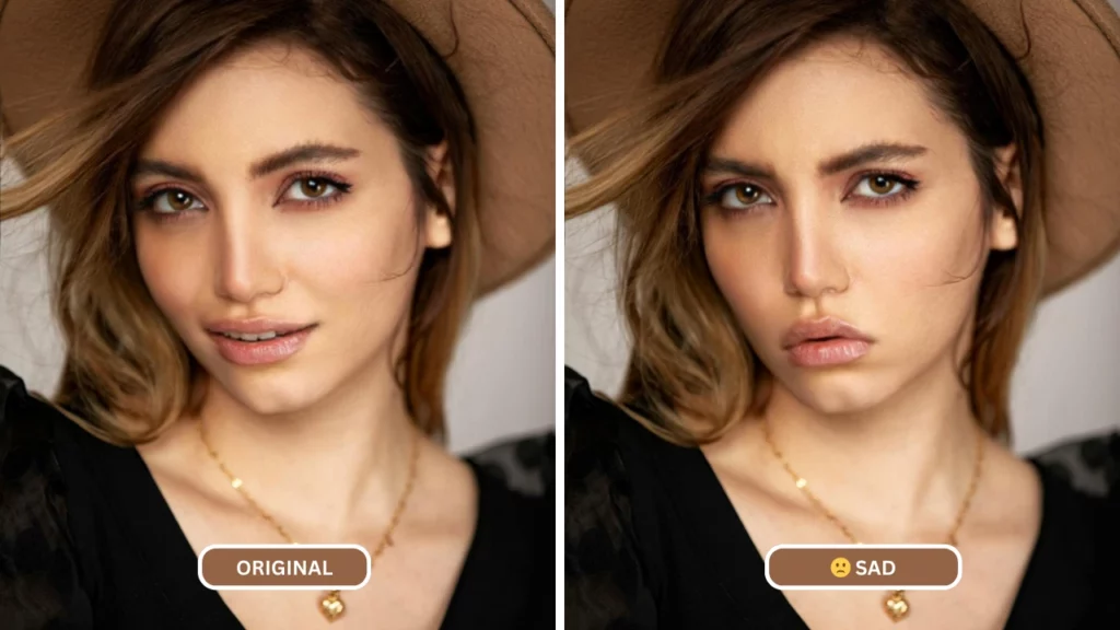 générateur de visage triste créant une expression faciale triste en utilisant eraseid sur une image d'une femme aux yeux marrons portant un haut noir et un chapeau marron